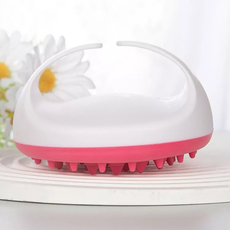 Cad Ba chóir duit a Fhios Sula Piocfaidh tú an Scuab Folctha Foirfe